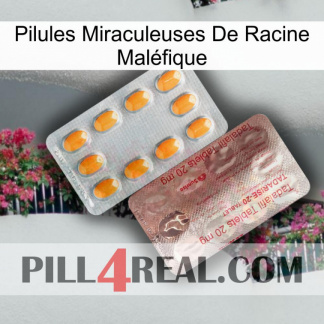 Pilules Miraculeuses De Racine Maléfique new13